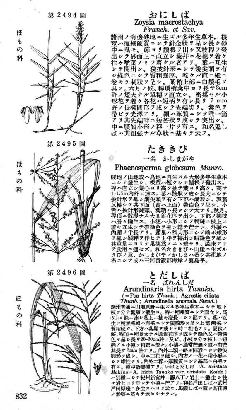 植物図鑑