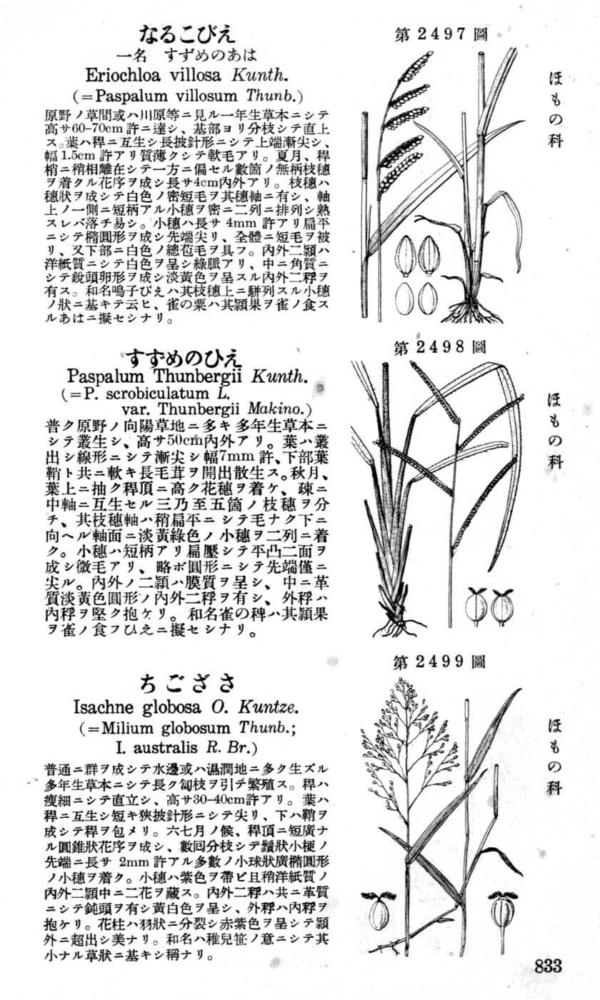 植物図鑑