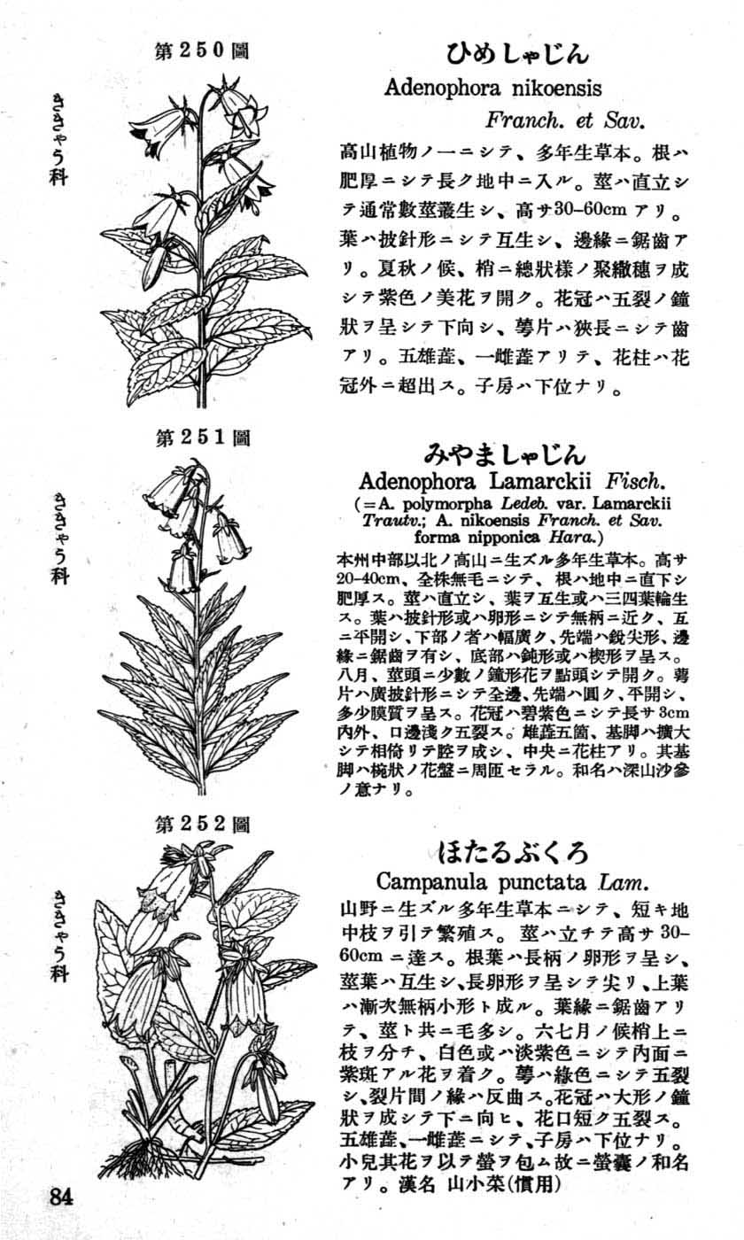 植物図鑑
