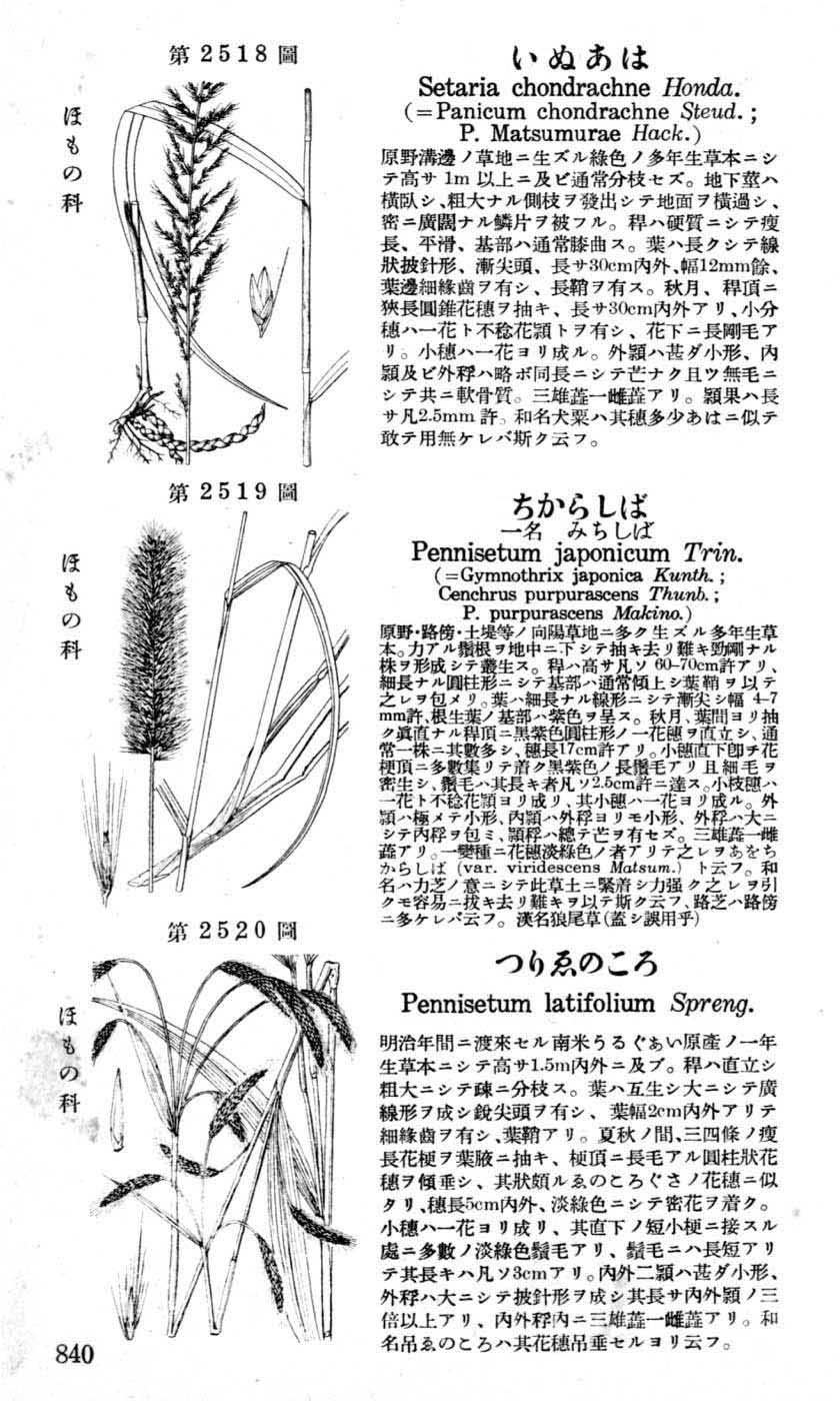 植物図鑑