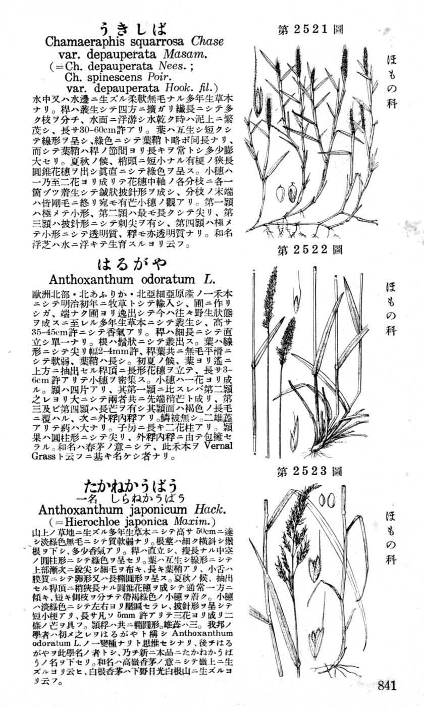 植物図鑑