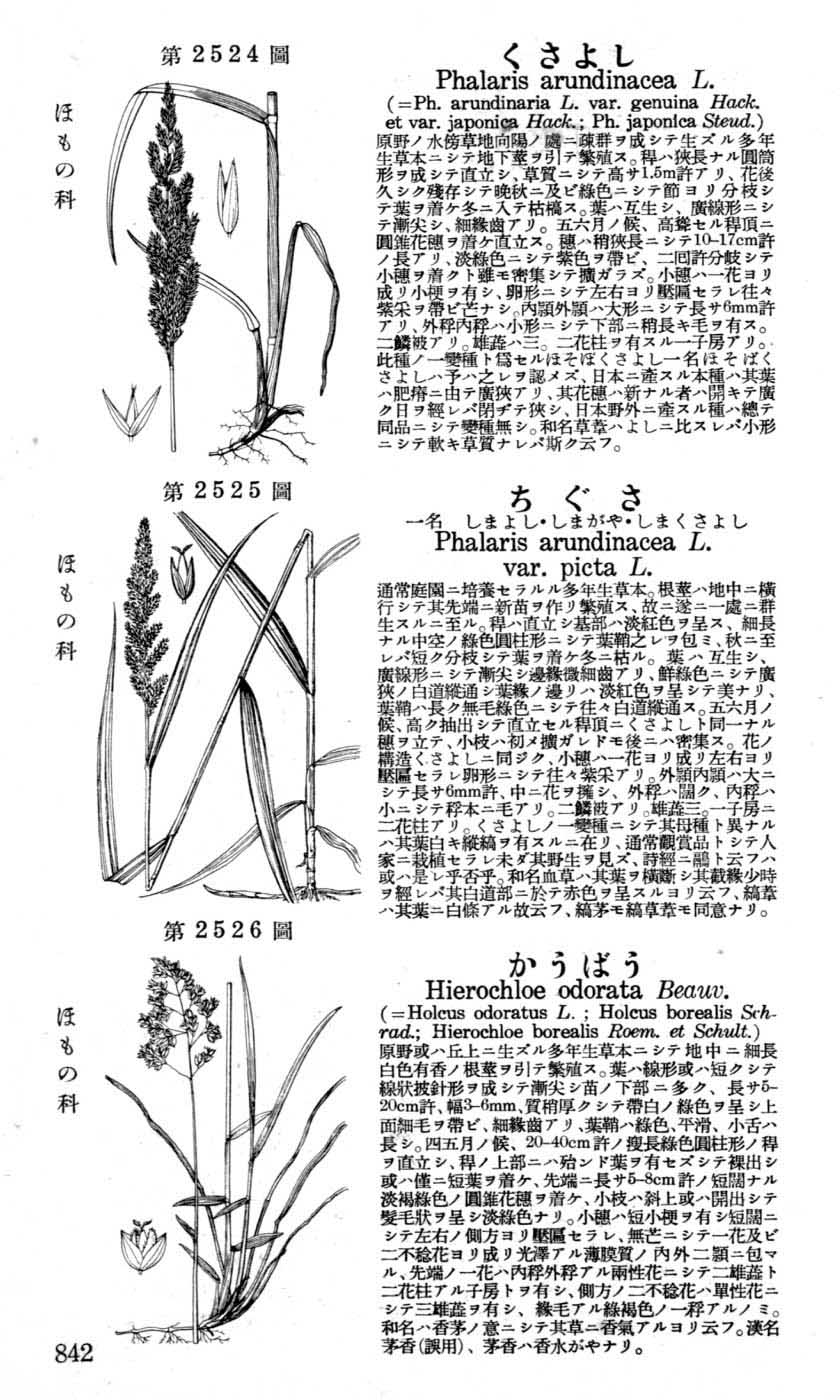 植物図鑑