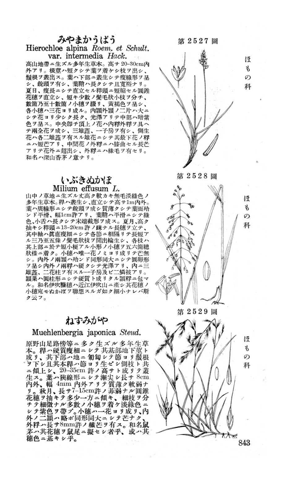 植物図鑑