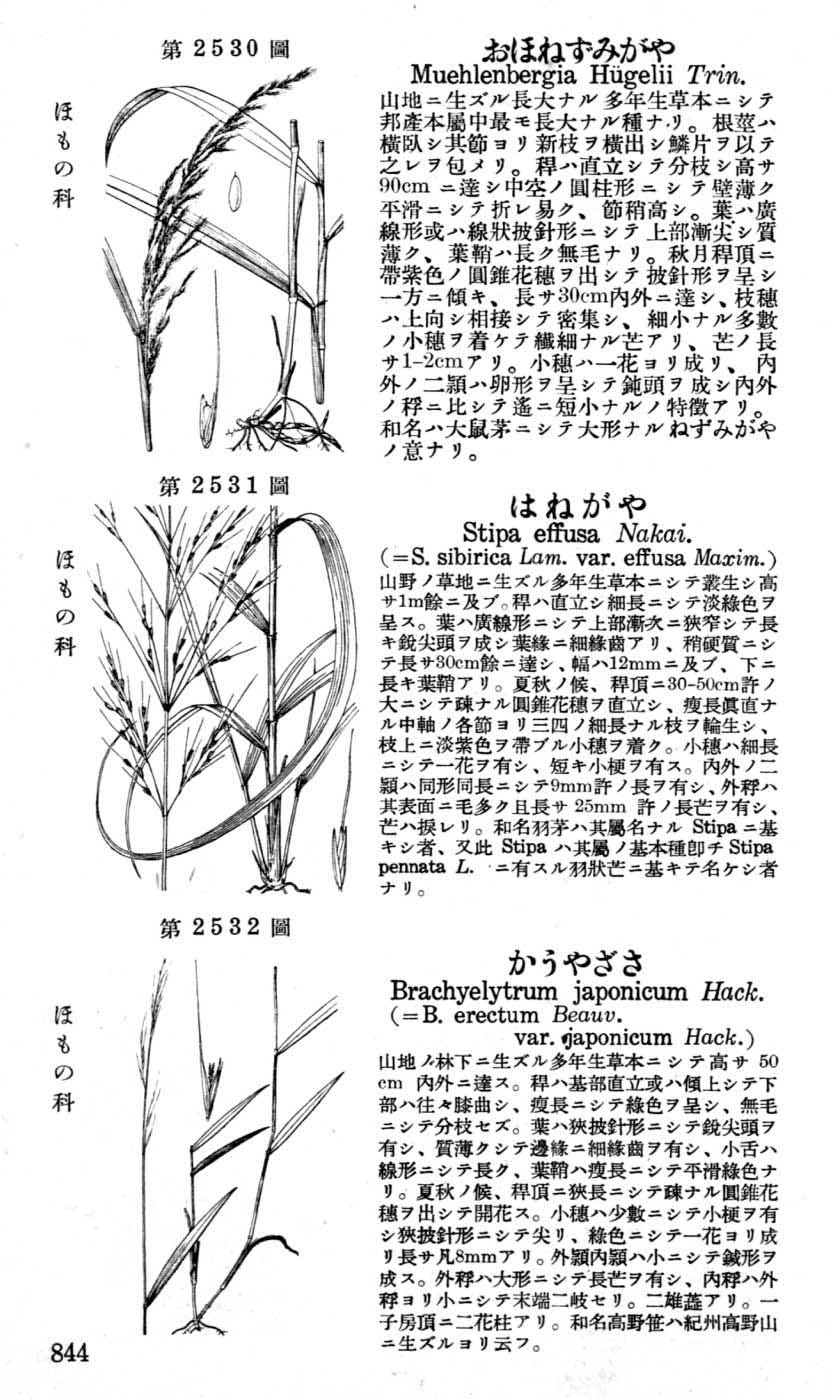 植物図鑑