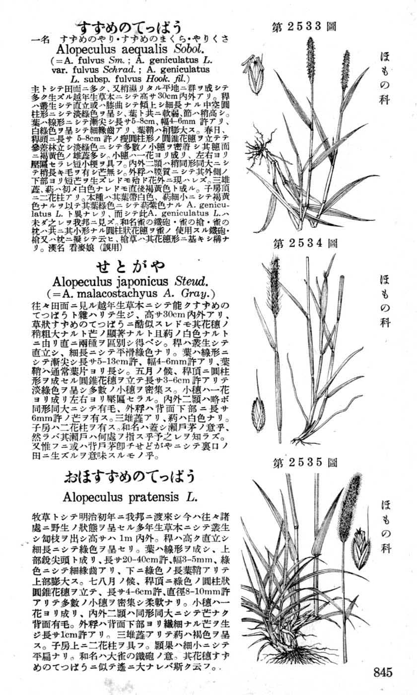 植物図鑑