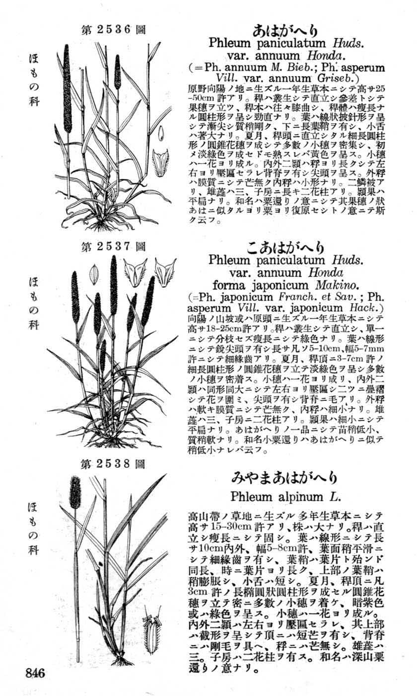 植物図鑑