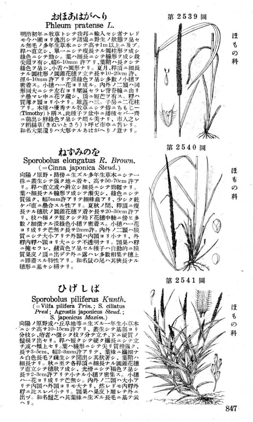 植物図鑑