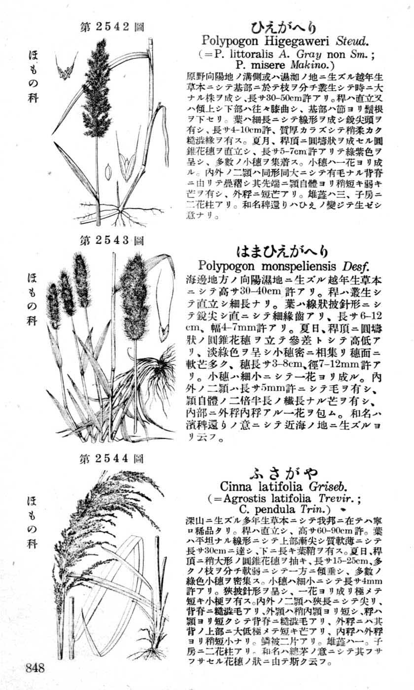 植物図鑑