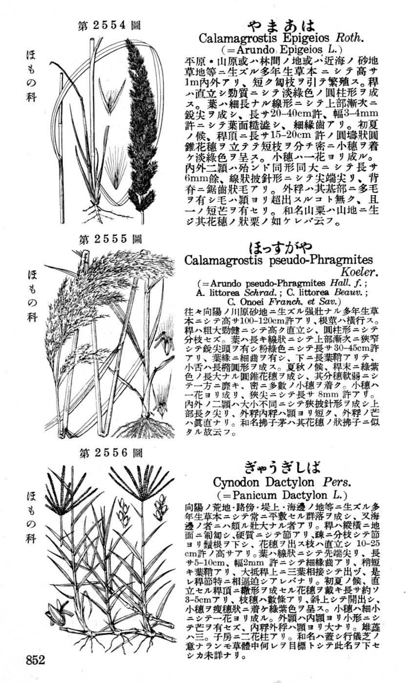 植物図鑑