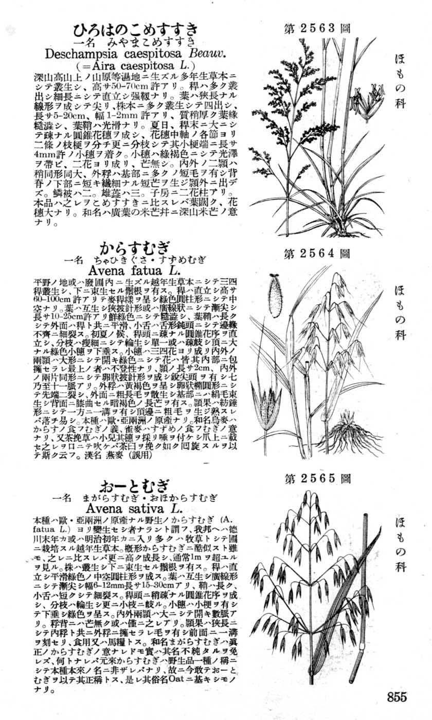 植物図鑑