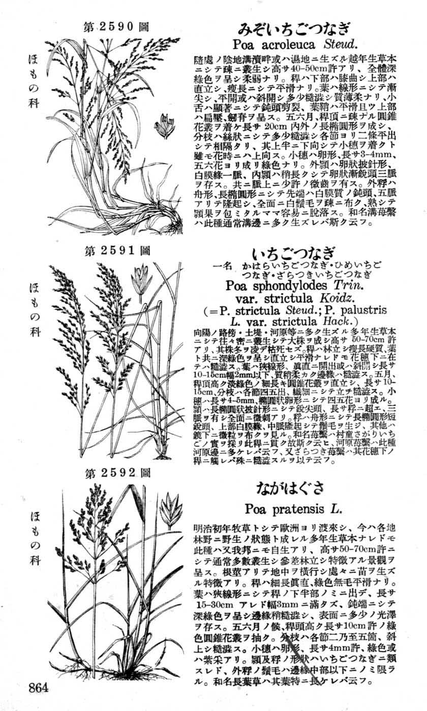 植物図鑑