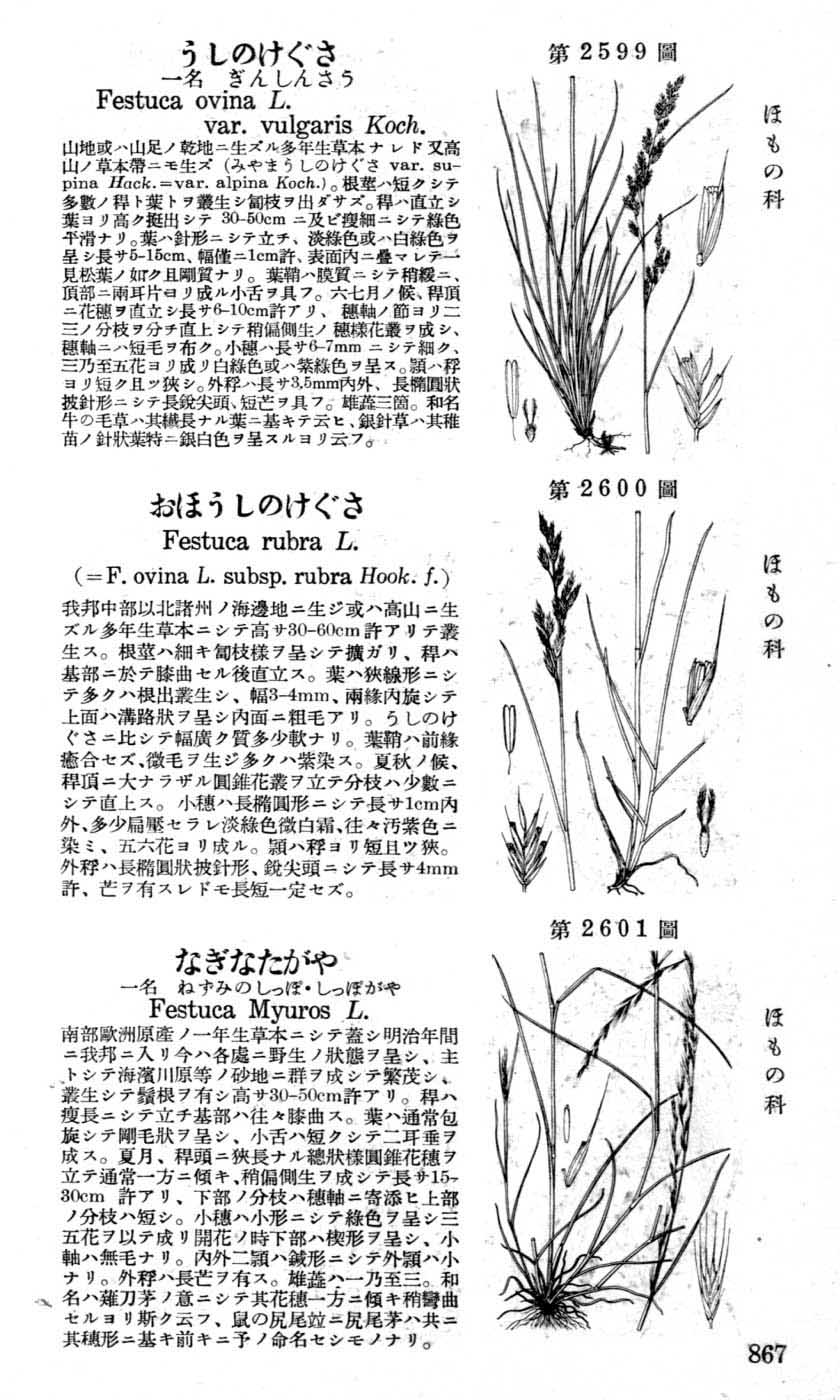 植物図鑑