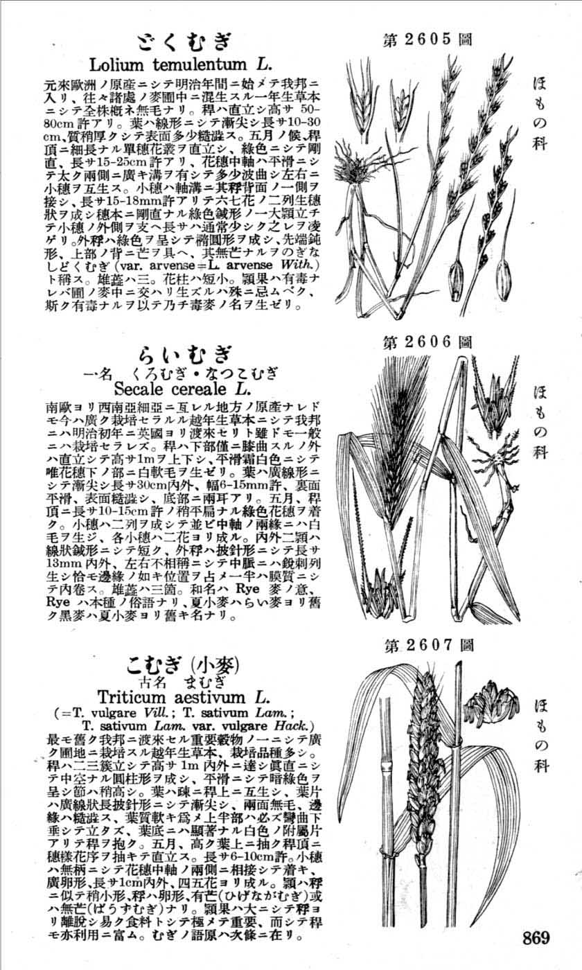 植物図鑑