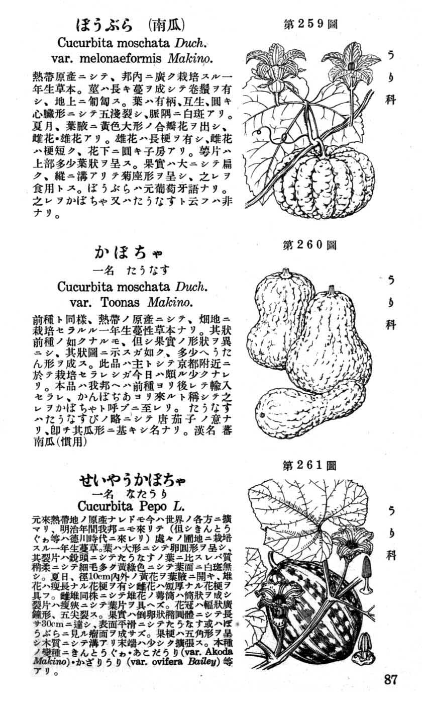 植物図鑑