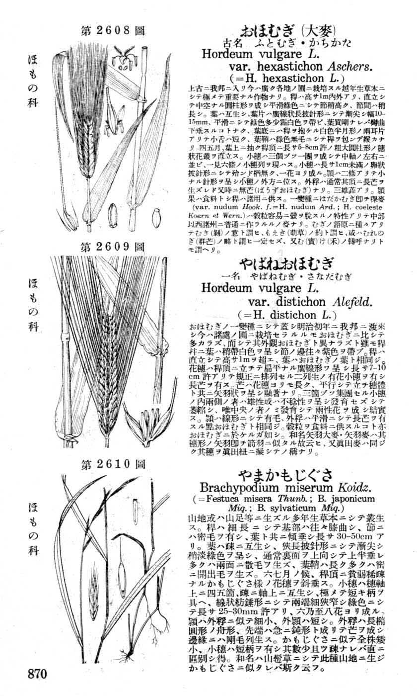 植物図鑑