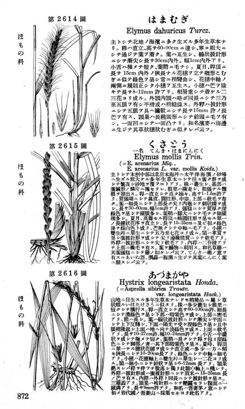 植物図鑑