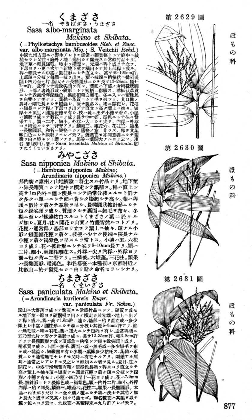 植物図鑑