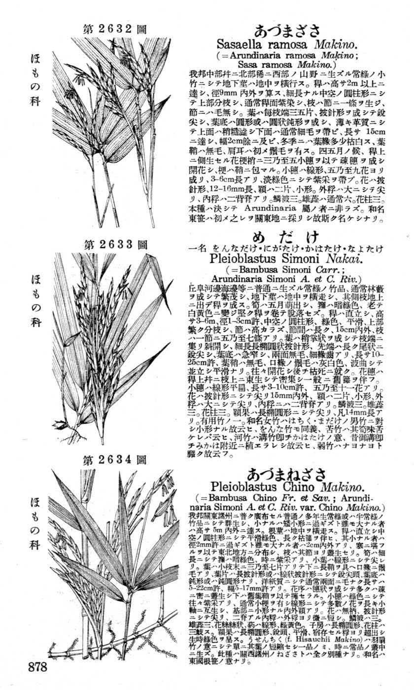 植物図鑑