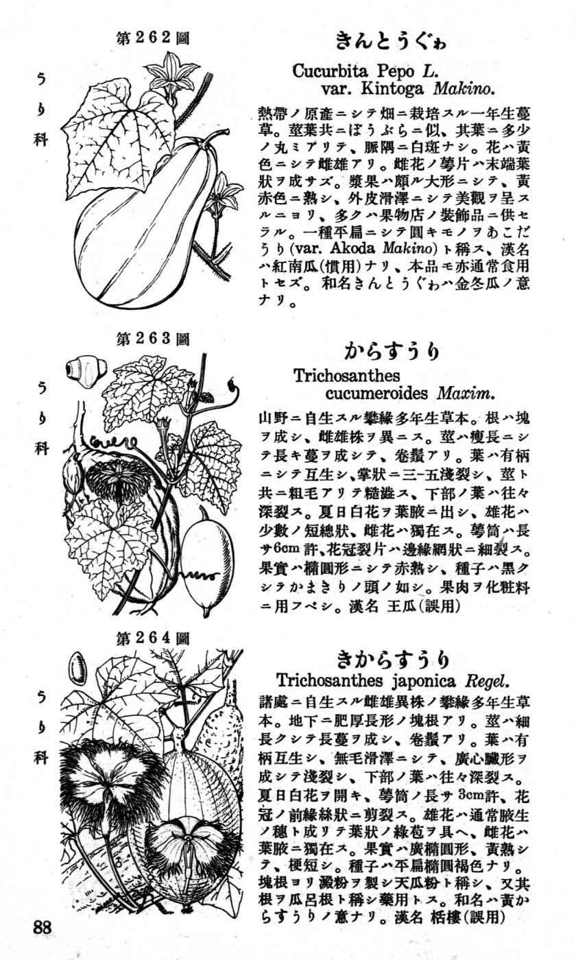 植物図鑑