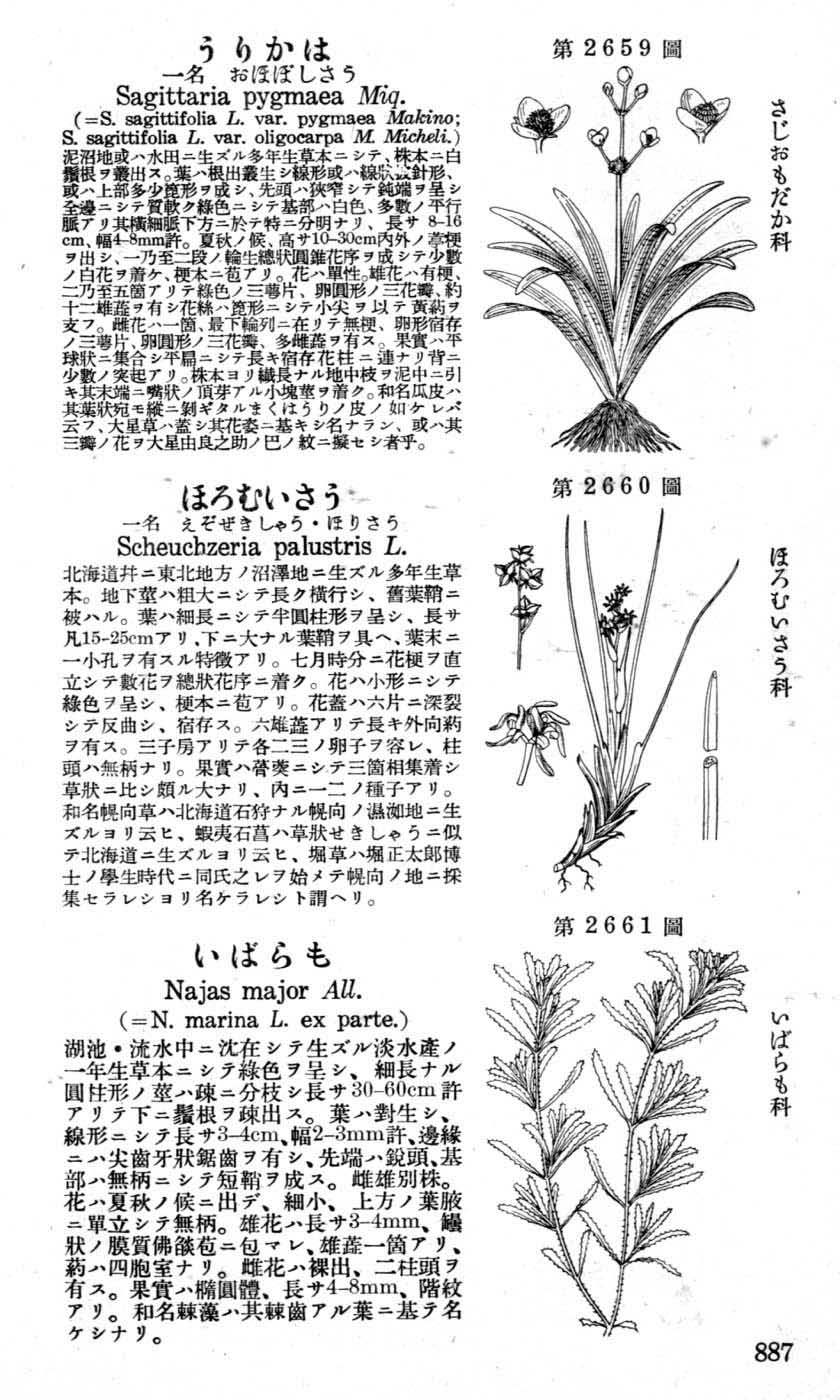 植物図鑑