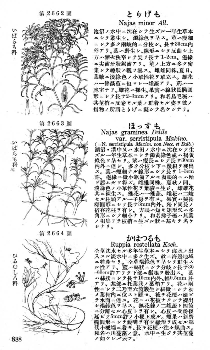 植物図鑑