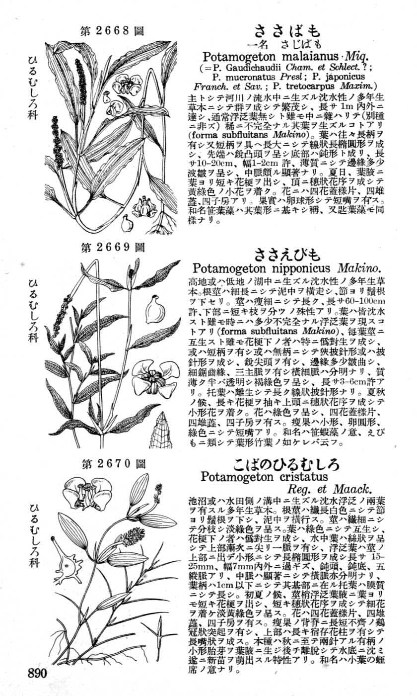 植物図鑑