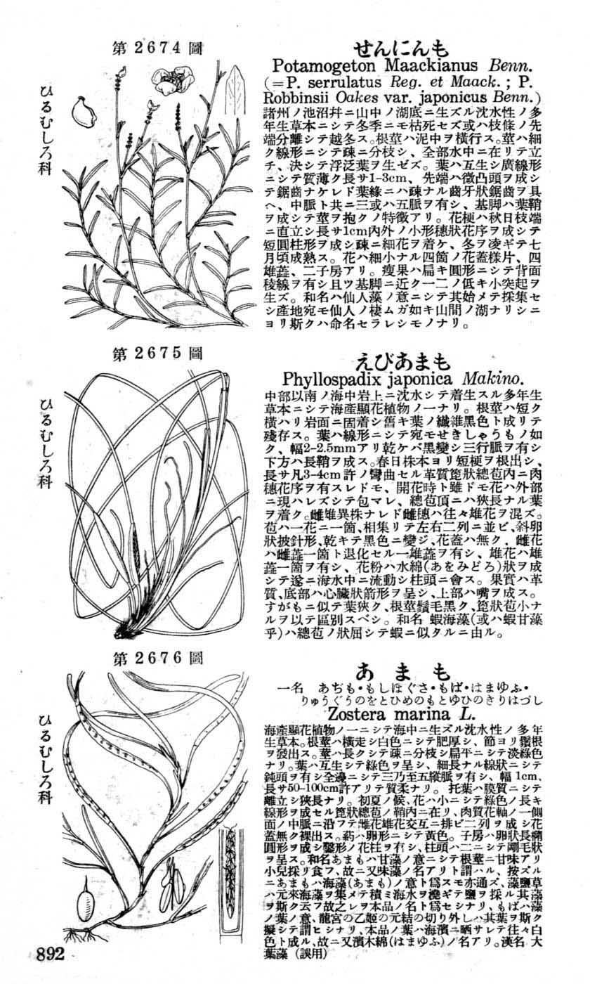 植物図鑑