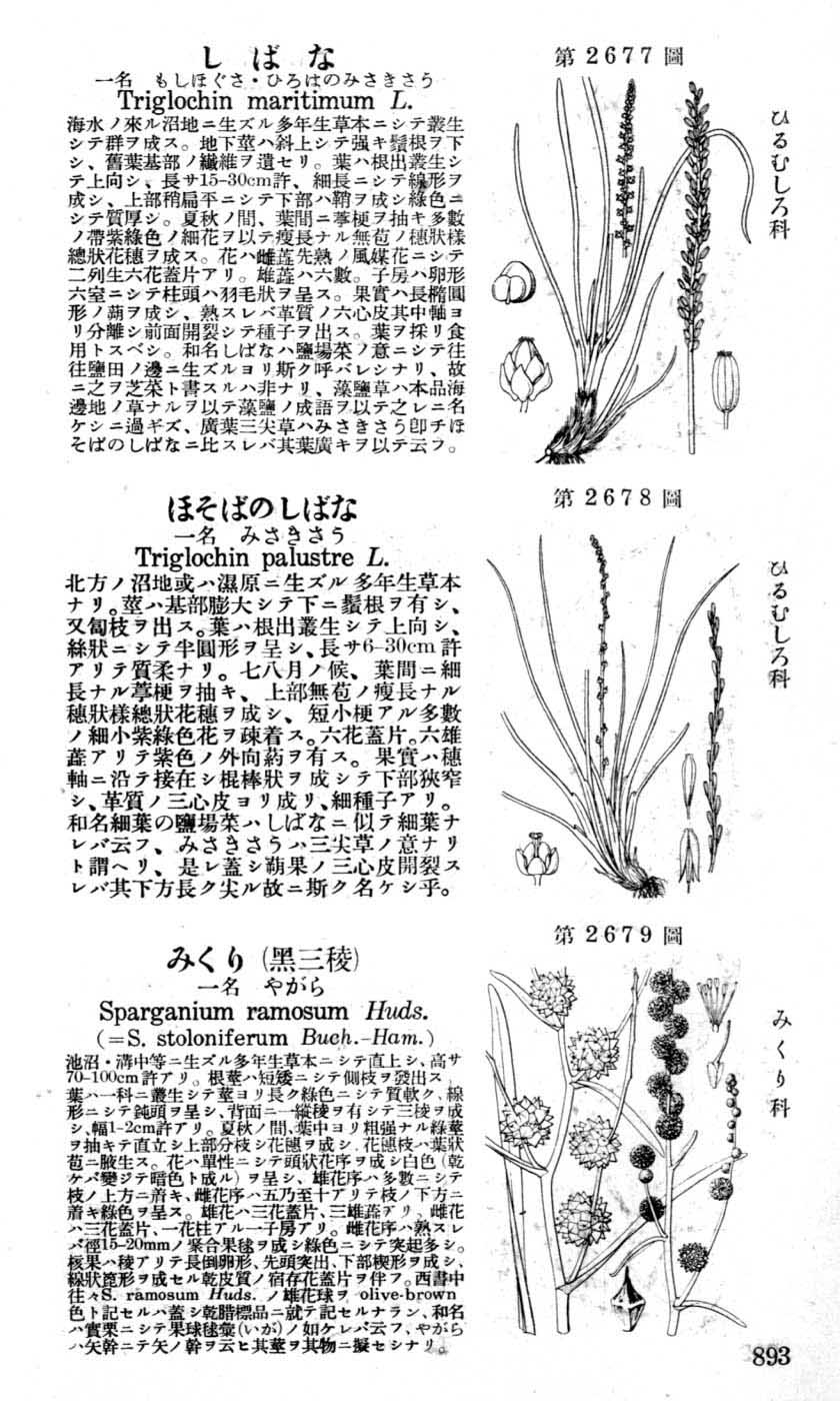 植物図鑑