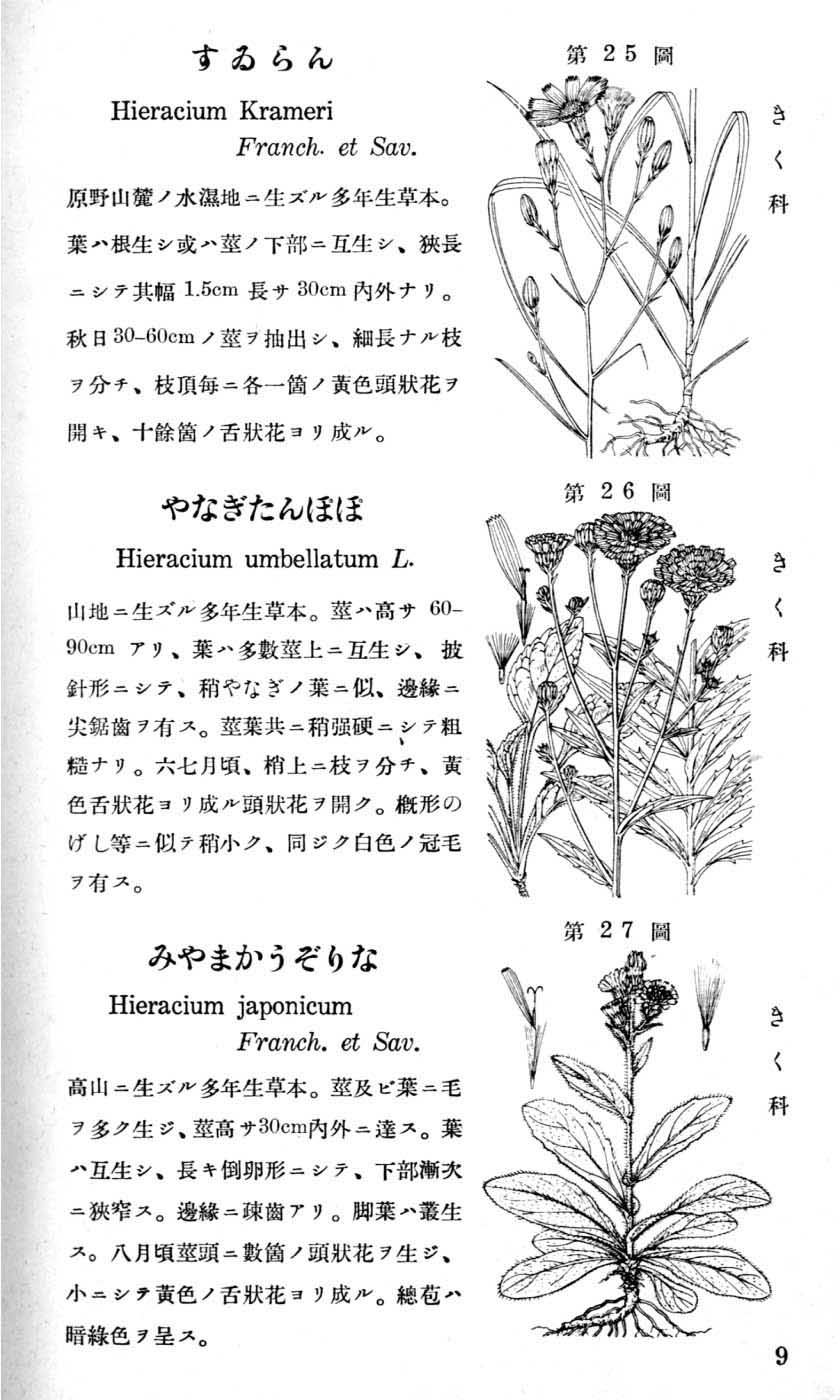 植物図鑑