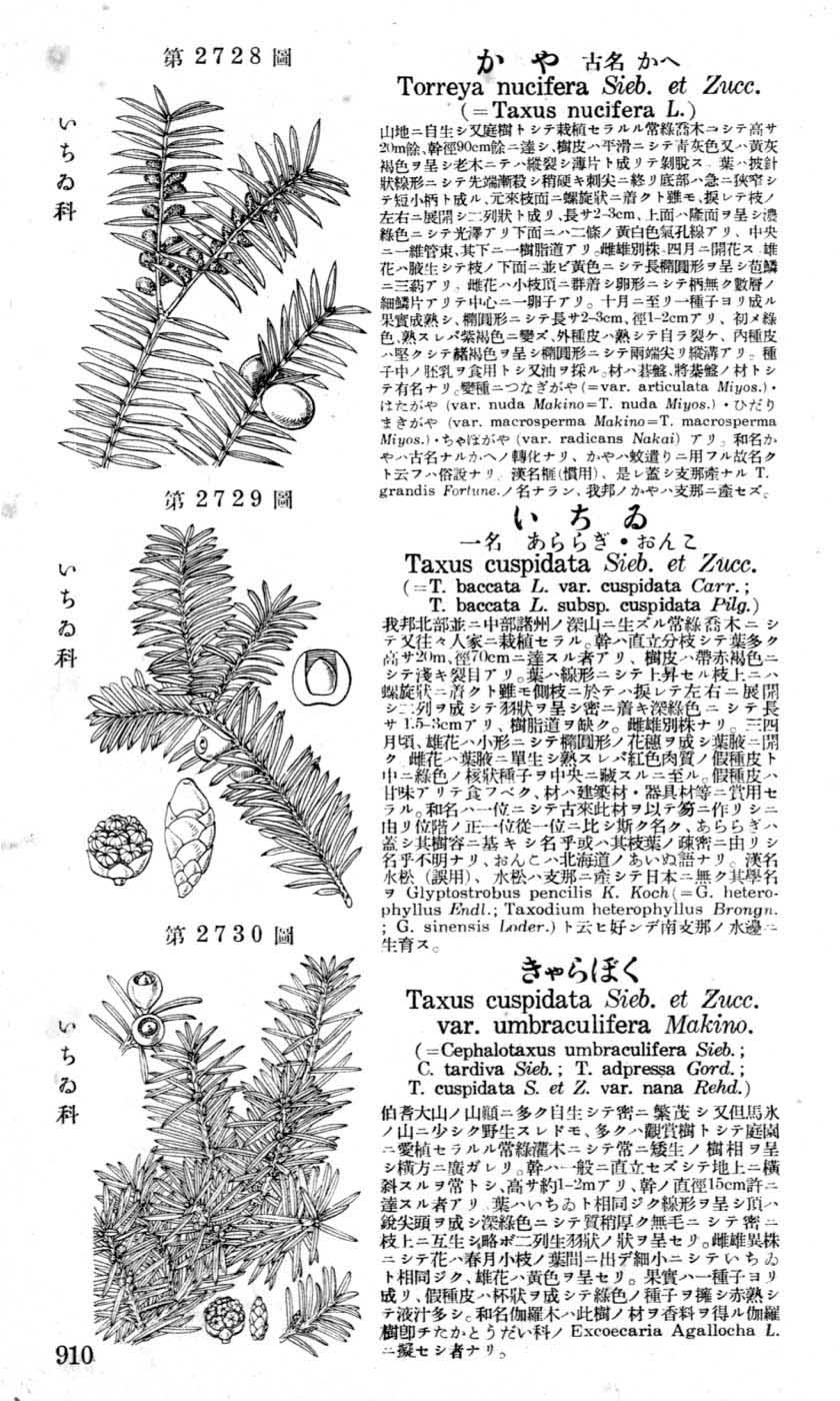 植物図鑑