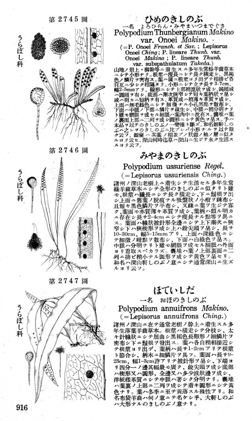 植物図鑑