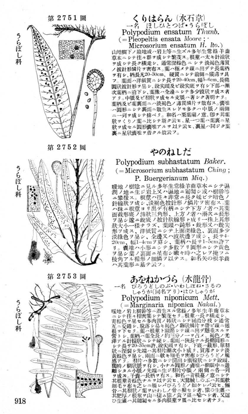 植物図鑑