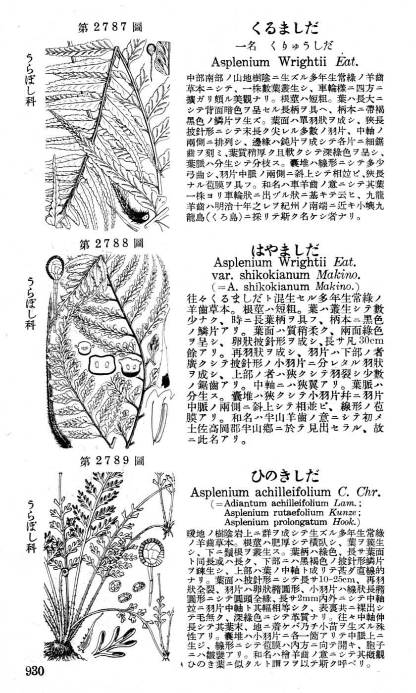 植物図鑑