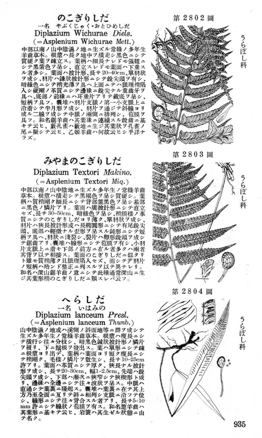 植物図鑑