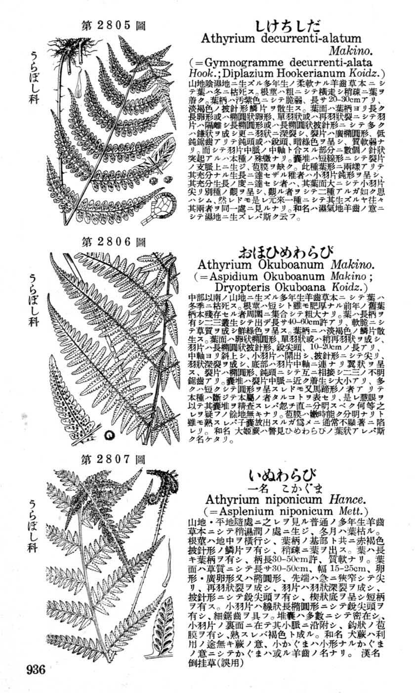 植物図鑑