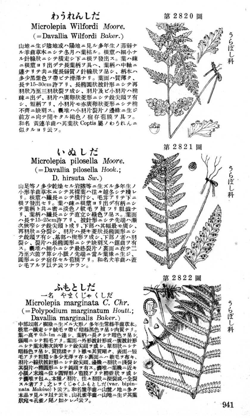 植物図鑑