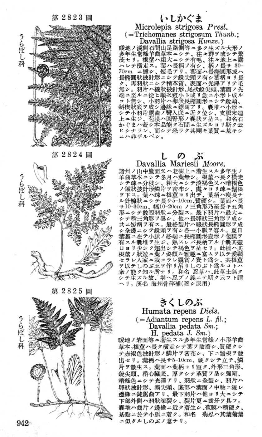 植物図鑑