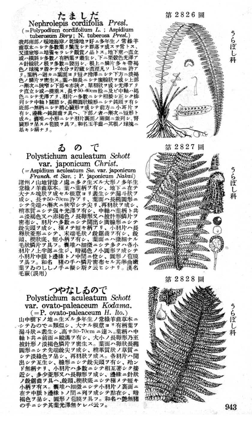 植物図鑑