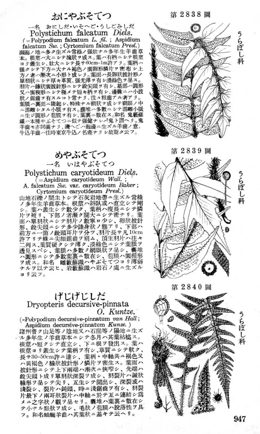 植物図鑑