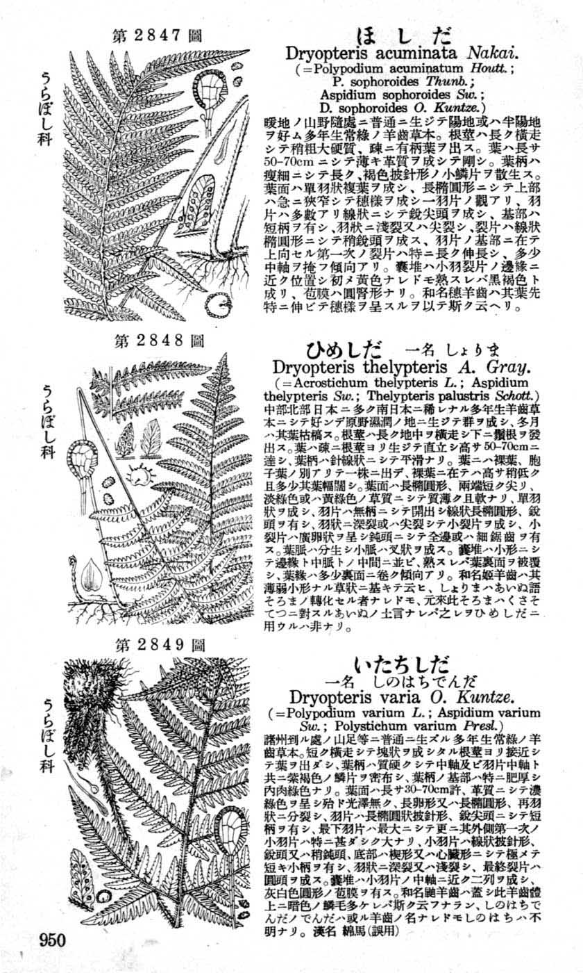 植物図鑑