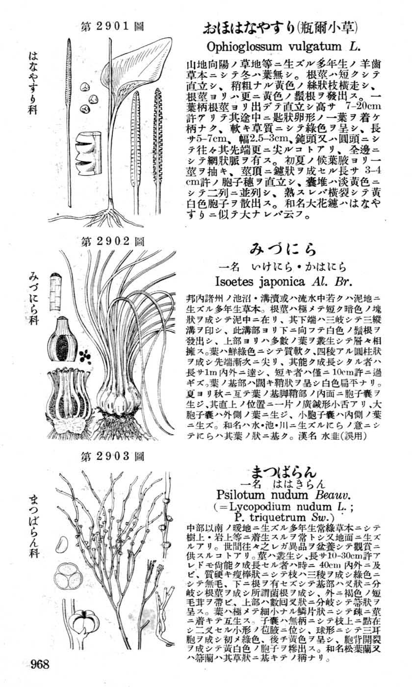 植物図鑑