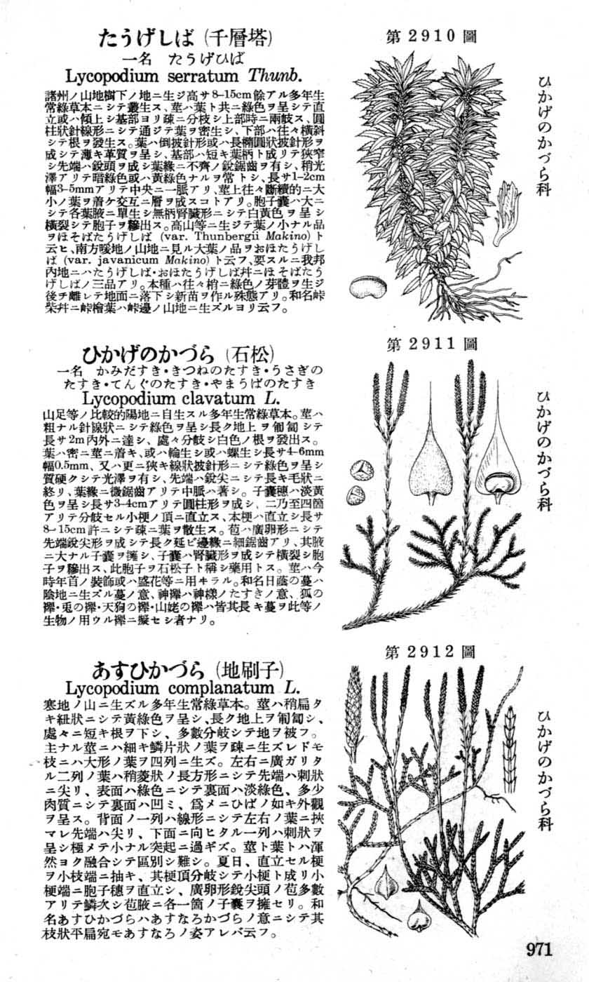 植物図鑑