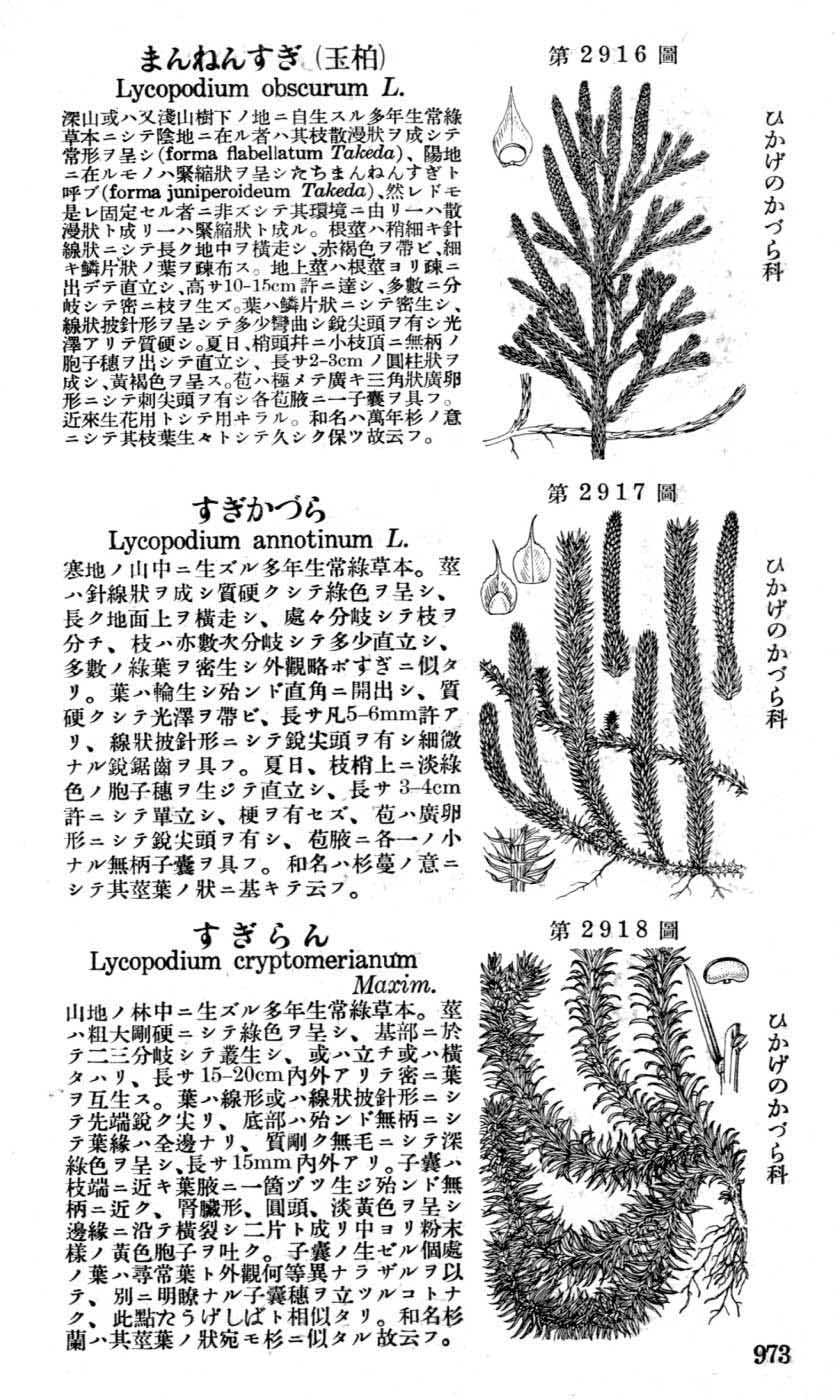 植物図鑑