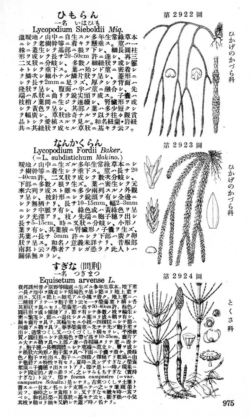 植物図鑑