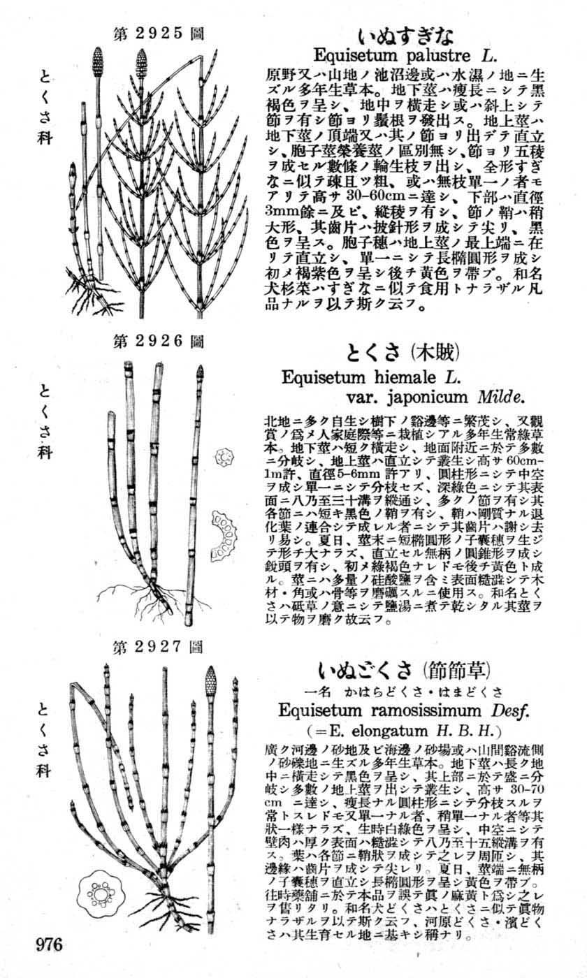 植物図鑑