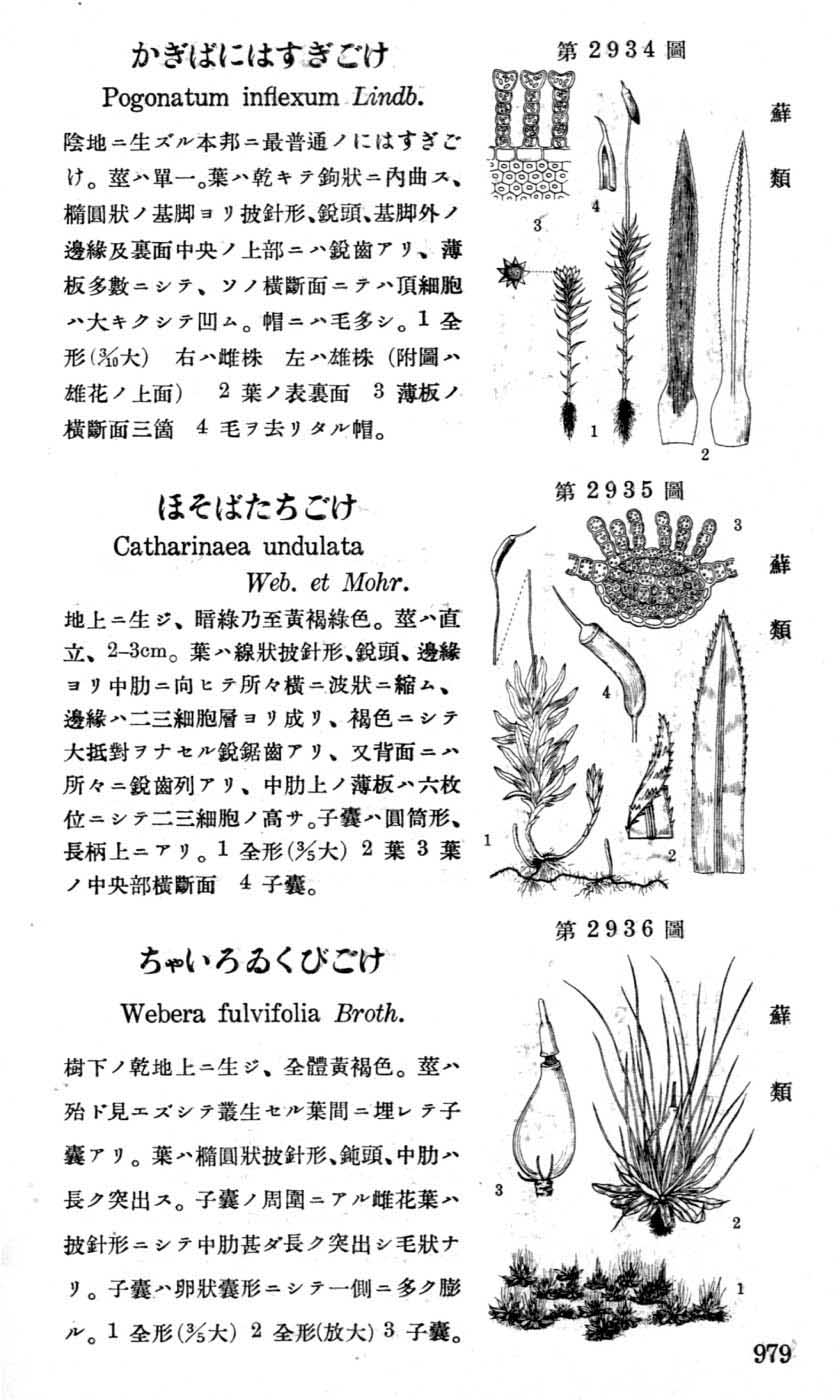 植物図鑑