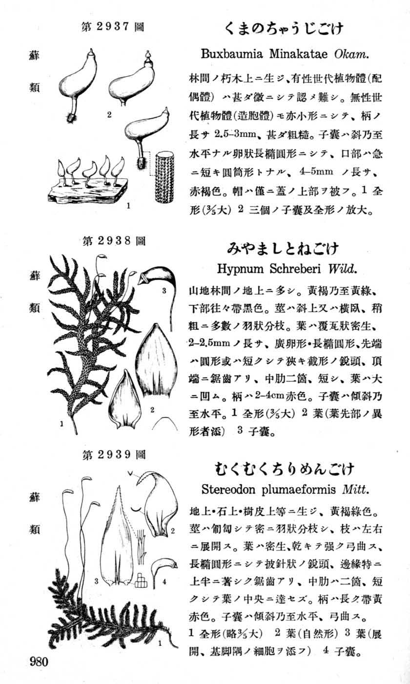 植物図鑑