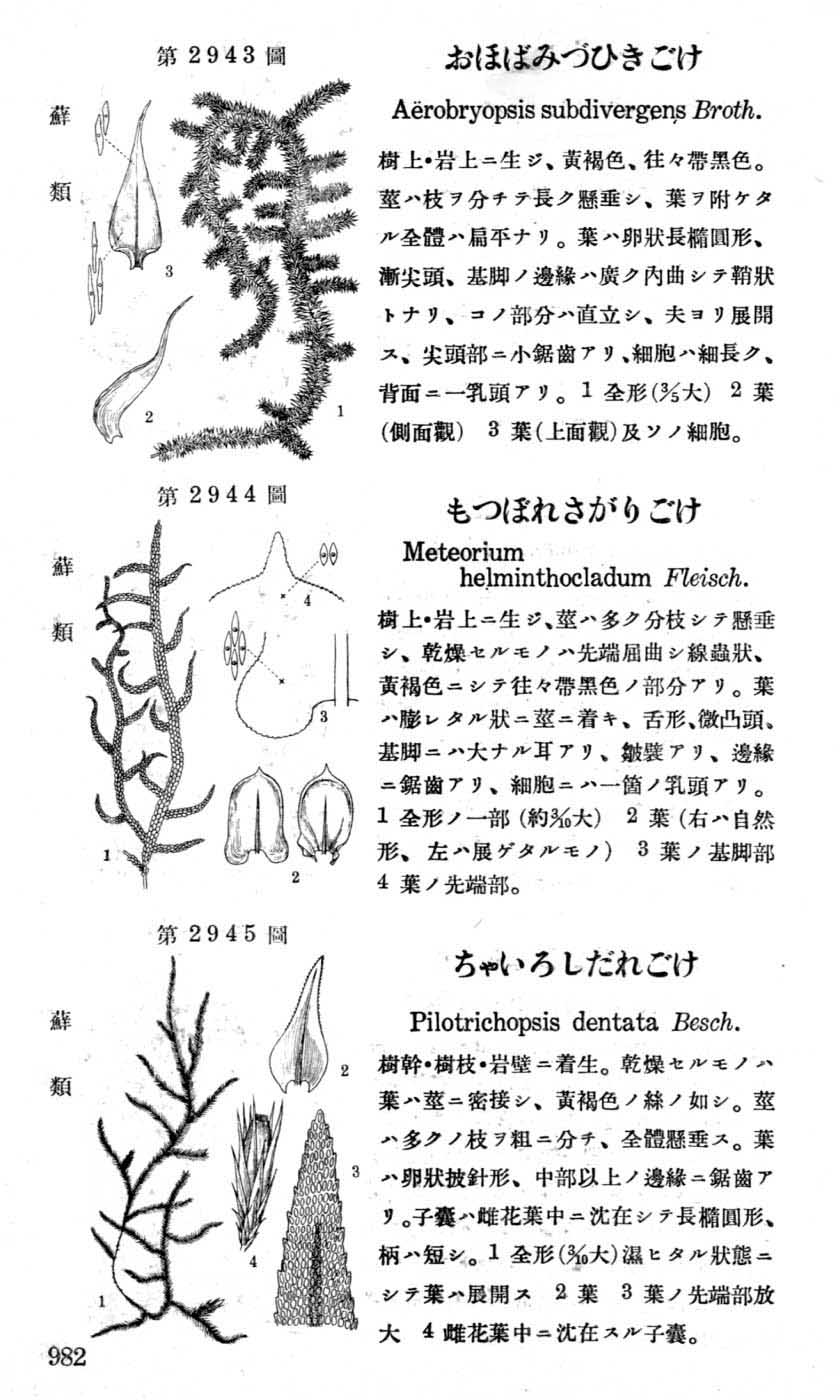 植物図鑑