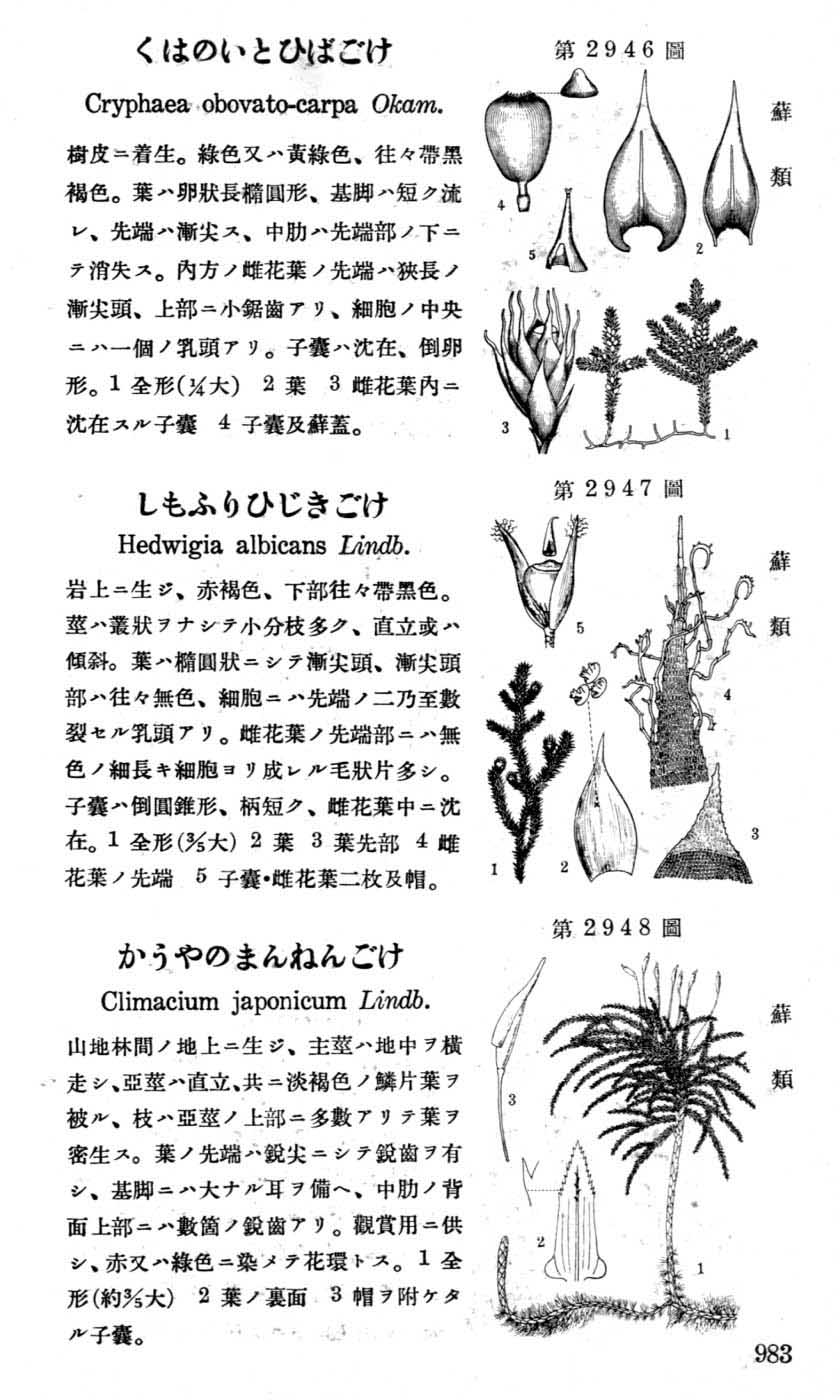 植物図鑑