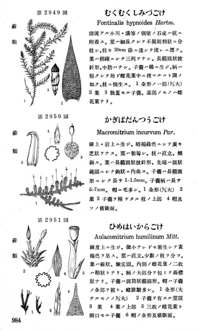 植物図鑑